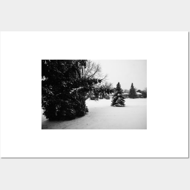 Snow Fall in Black and White Wall Art by srosu